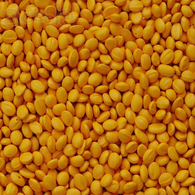 Мастербатч жёлтый (POLYCOLOR YELLOW 04057